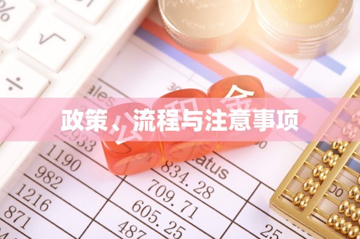 正定政策、流程与注意事项